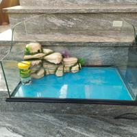 tartarughiera con filtro 