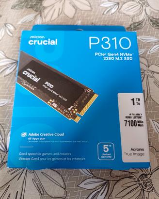 p310 crucial 