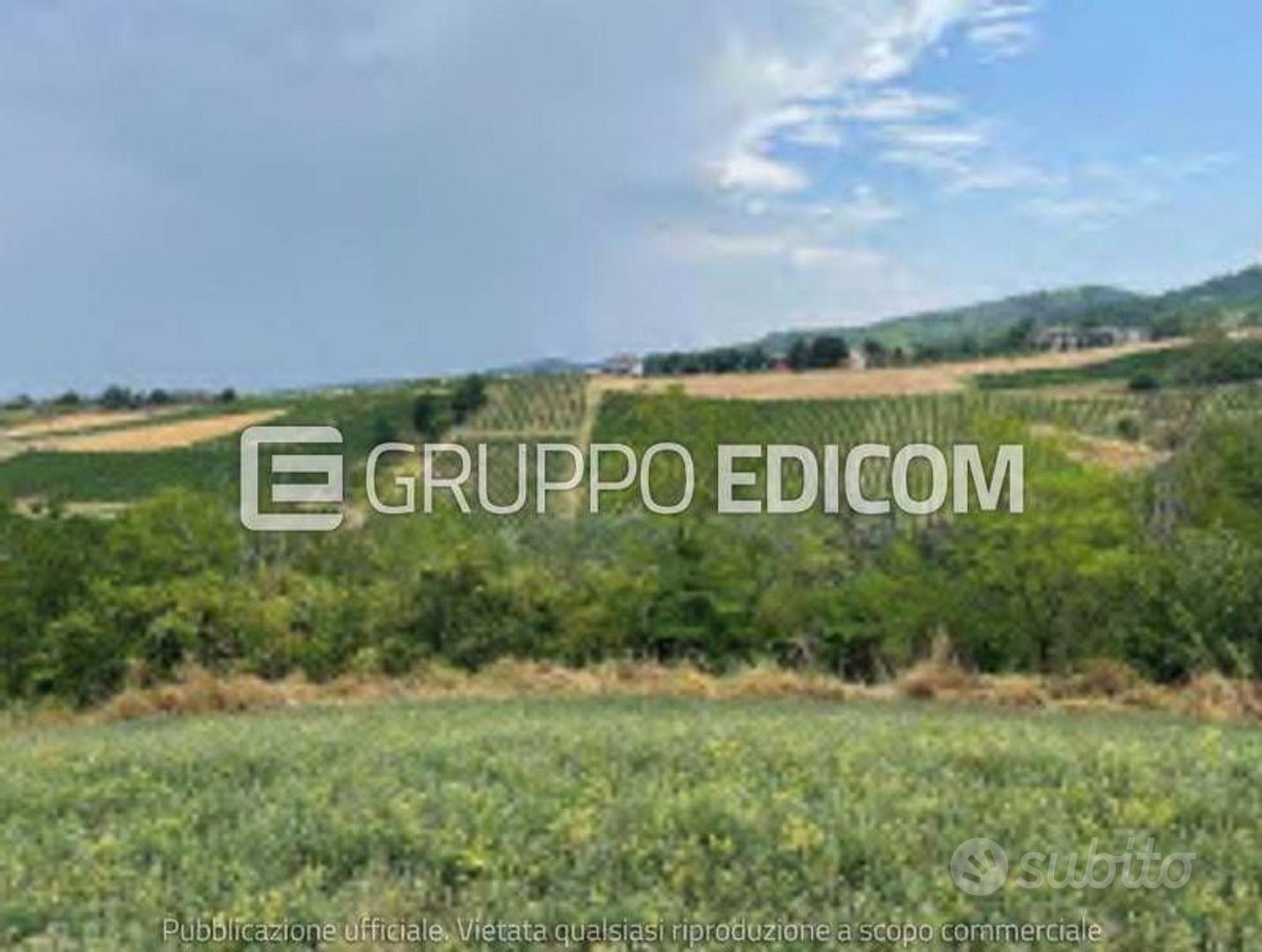 Terreno, Codevilla. - Vista 3