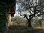 Immagine 11