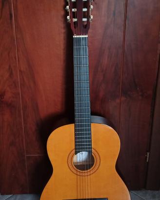 Chitarra EKO SC12