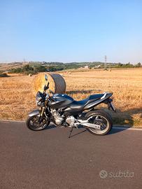 Honda Cb600F Hornet