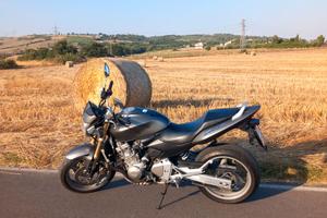 Honda Cb600F Hornet