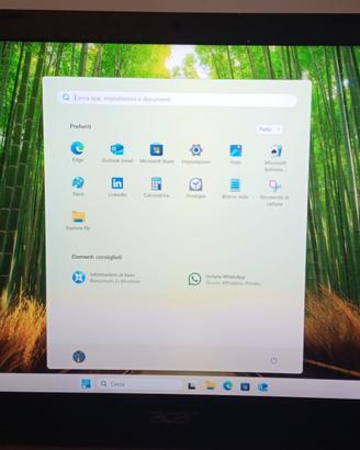 Acer Extensa 215-31
