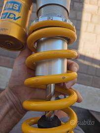 forcella e mono ohlins