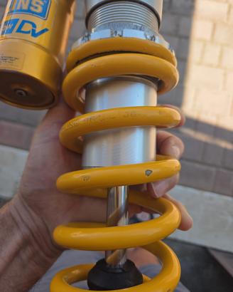 forcella e mono ohlins