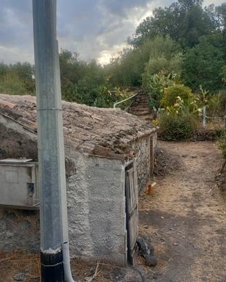 terreno agricolo 