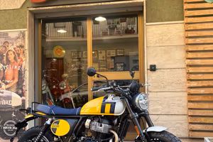 Royal Enfield Interceptor Bear 650 Wild Honey