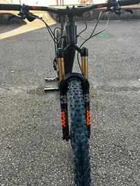 Ebike focus