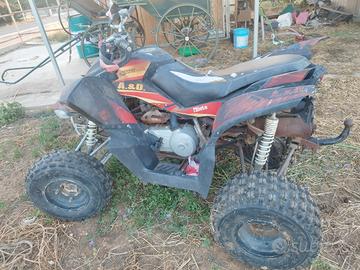 quad access motor 300