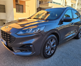 Ford kuga ST line 1.5 EcoBlue 120 CV 2WD diesel