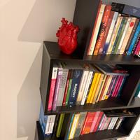 Libreria moderna