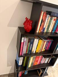 Libreria moderna