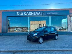 FIAT Panda 3ª serie Panda 1.0 FireFly S&S Hybrid