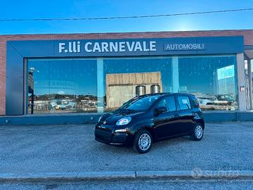 FIAT Panda 3ª serie Panda 1.0 FireFly S&S Hybrid