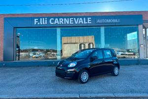 FIAT Panda 3ª serie Panda 1.0 FireFly S&S Hybrid