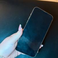 iPhone 13 Pro Max 256 gb 