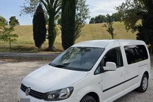 Volkswagen Caddy 3 Maxi 2.0 EcoFuel 7 Posti