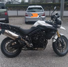   triumph Tiger 