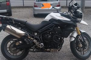   triumph Tiger 