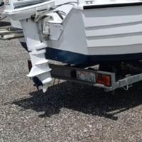 Motore fuoribordo 25 cv con scatola comandi