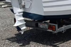 Motore fuoribordo 25 cv con scatola comandi