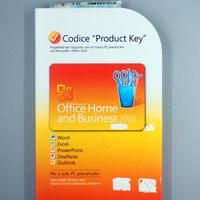 Microsoft Office 2010 IT Home and Business Edition