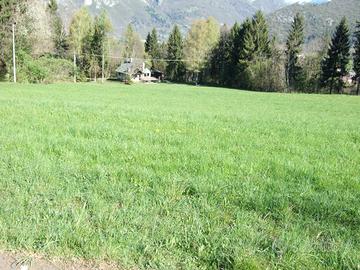 Terreno agricolo Clusone