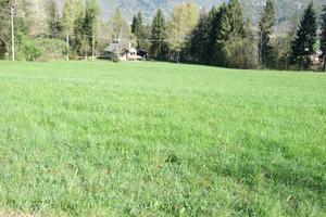 Terreno agricolo Clusone