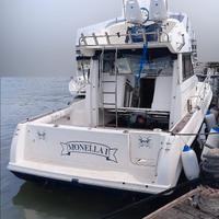 Faeton moraga 980 fly + 2x260 hp yanmar (2003)