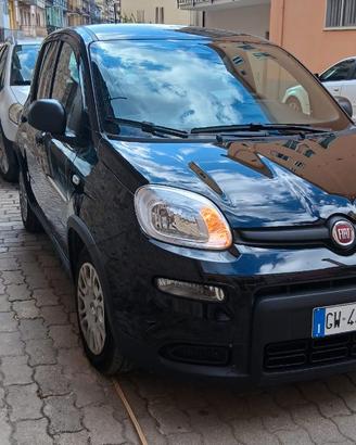fiat pandino 1.0 Hybrid