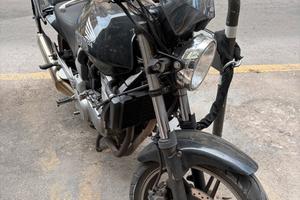 Honda  Cbf 500 anno 2004