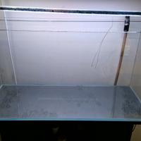 Acquario extrachiaro e accessori