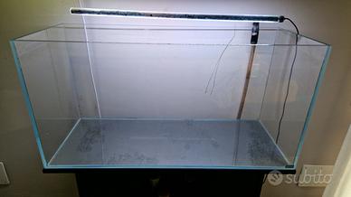 Acquario extrachiaro e accessori