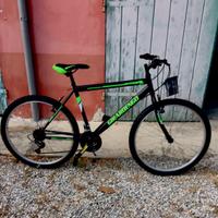 Bicicletta Mountain Bike Girardengo