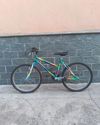 Mtb ruota 24