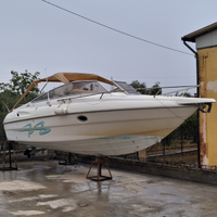 Cranchi turchese 24