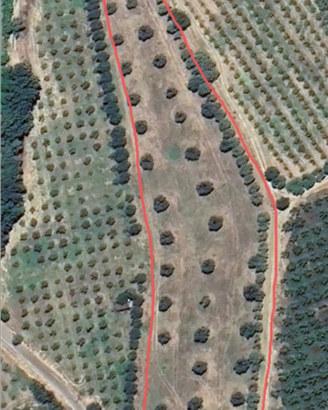 Terreno agricolo