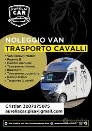 Renault master van trasporto cavalli