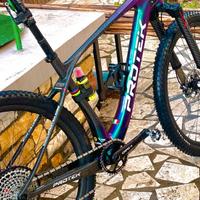 Telaio MTB Protek carbon elite 29