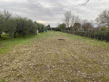 Terreno di 3300 m² a Campi Bisenzio