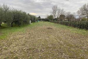 Terreno di 3300 m² a Campi Bisenzio