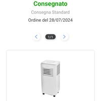 Condizionatore  deumidificatore con tubo