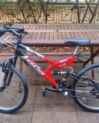 bicicletta ragazzo 