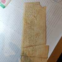 pergamena manoscritto antica 