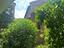 Immagine 19