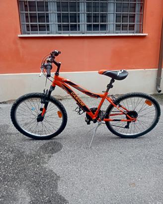 Bicicletta bambino 24
