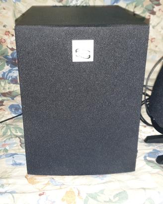 Casse +Subwoofer 