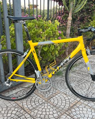 Bici da corsa Giant TCR performance series M/L  56