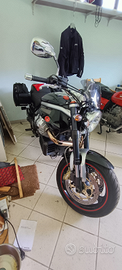 Moto Guzzi griso 1100